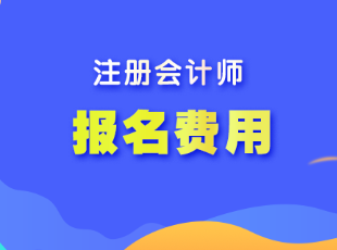 上海市2023年注會(huì)考試報(bào)名費(fèi)用是多少？