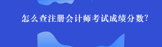 怎么查注冊(cè)會(huì)計(jì)師考試成績(jī)分?jǐn)?shù)？