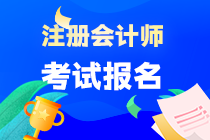 2023注冊(cè)會(huì)計(jì)師考試報(bào)名入口在哪？