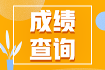 什么時候出cpa成績？