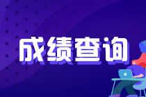 2022年注會考試成績已公布 快來查分吧！