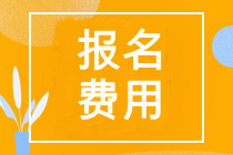 注會專業(yè)階段報(bào)名費(fèi)用多少？