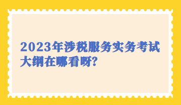 2023年涉稅服務(wù)實(shí)務(wù)考試大綱在哪看呀？