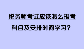 稅務(wù)師考試應(yīng)該怎么報考科目及安排時間學(xué)習(xí)？