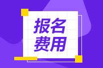 經濟師初級報名費用多少一年？