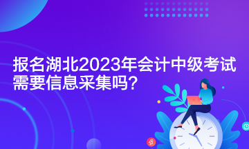 報(bào)名湖北2023年會(huì)計(jì)中級(jí)考試需要信息采集嗎？