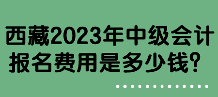 西藏2023年中級(jí)會(huì)計(jì)報(bào)名費(fèi)用是多少錢(qián)？