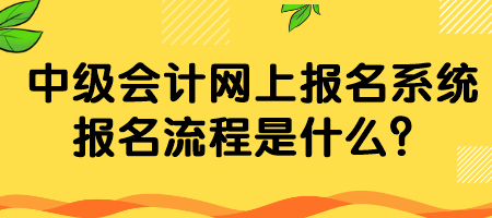 中級會計網(wǎng)上報名系統(tǒng)報名流程是什么？