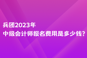 兵團(tuán)2023年中級(jí)會(huì)計(jì)師報(bào)名費(fèi)用是多少錢(qián)？