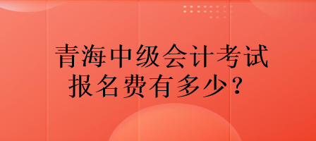青海中級(jí)會(huì)計(jì)考試報(bào)名費(fèi)有多少？