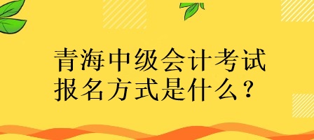 青海中級(jí)會(huì)計(jì)考試報(bào)名方式是什么？
