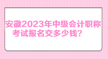 安徽2023年中級(jí)會(huì)計(jì)職稱考試報(bào)名交多少錢？