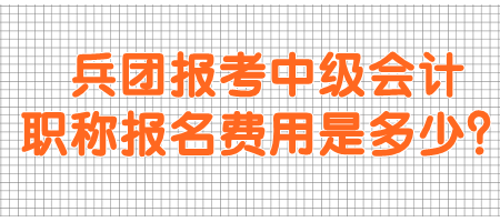 兵團報考中級會計職稱報名費用是多少？
