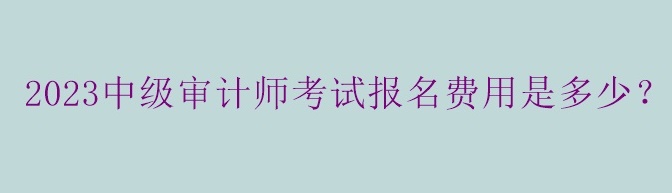 2023中級(jí)審計(jì)師考試報(bào)名費(fèi)用是多少？