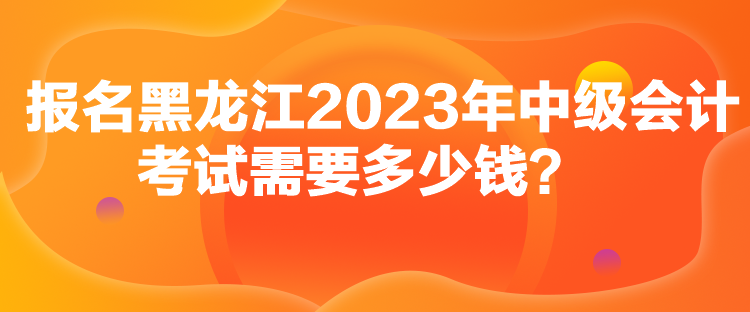 報(bào)名黑龍江2023年中級(jí)會(huì)計(jì)考試需要多少錢？
