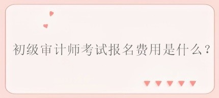 初級審計師考試報名費用是什么？