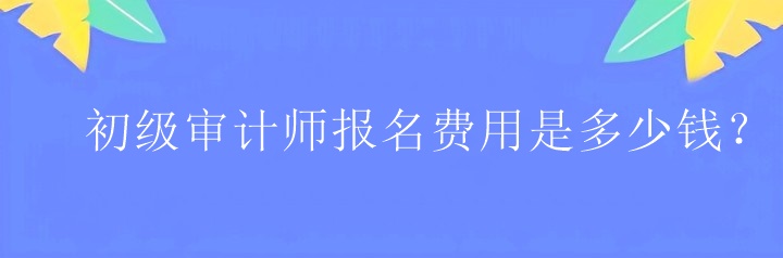 初級(jí)審計(jì)師報(bào)名費(fèi)用是多少錢？