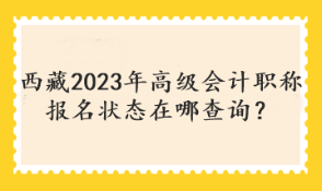 西藏2023年高級會計(jì)職稱報(bào)名狀態(tài)在哪查詢？