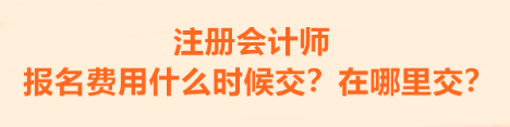 注冊會計師的報名費用什么時候交？在哪里交？