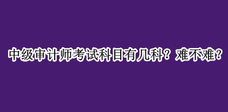 中級審計師考試科目有幾科？難不難？