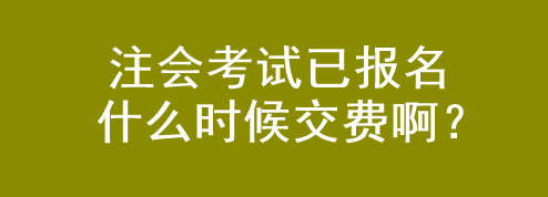 注會(huì)考試已報(bào)名 什么時(shí)候交費(fèi)??？