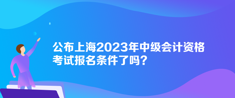 公布上海2023年中級會(huì)計(jì)資格考試報(bào)名條件了嗎？