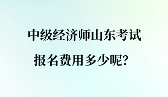 中級(jí)經(jīng)濟(jì)師山東考試報(bào)名費(fèi)用多少呢？