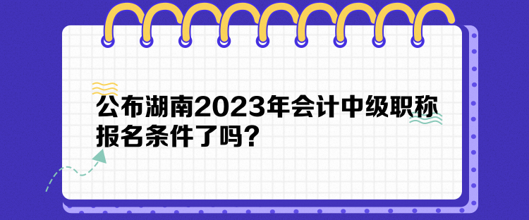 公布湖南2023年會(huì)計(jì)中級(jí)職稱報(bào)名條件了嗎？