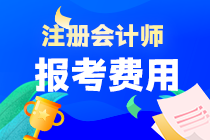 廣東省注會考試報名費是多少？