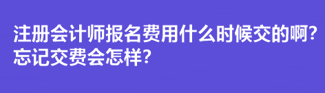 注冊會計師報名費用什么時候交的?。客浗毁M會怎樣？