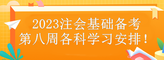 2023注會基礎備考第八周各科學習安排！