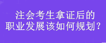 注會考生：拿證后的職業(yè)發(fā)展該如何規(guī)劃？
