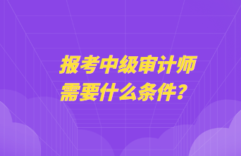 報(bào)考中級(jí)審計(jì)師需要什么條件？