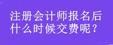 注冊(cè)會(huì)計(jì)師報(bào)名后什么時(shí)候交費(fèi)呢？
