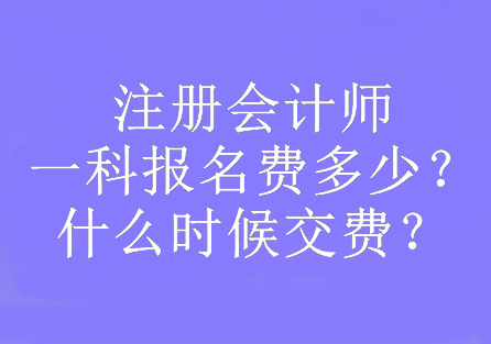 注冊會(huì)計(jì)師一科報(bào)名費(fèi)多少？什么時(shí)候交費(fèi)？