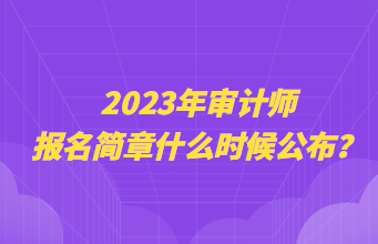 2023年審計(jì)師報(bào)名簡章什么時(shí)候公布？