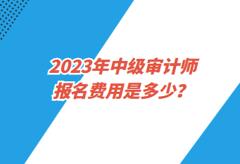 2023年中級審計(jì)師報(bào)名費(fèi)用是多少？