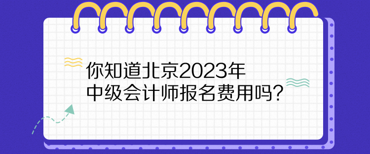 你知道北京2023年中級會計(jì)師報(bào)名費(fèi)用嗎？