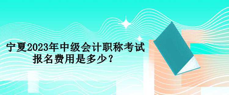 寧夏2023年中級(jí)會(huì)計(jì)職稱考試報(bào)名費(fèi)用是多少？