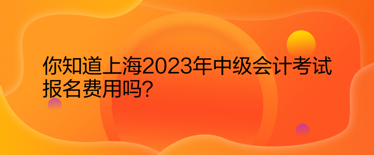 你知道上海2023年中級(jí)會(huì)計(jì)考試報(bào)名費(fèi)用嗎？