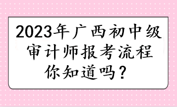 2023年廣西初中級審計師報考流程你知道嗎？