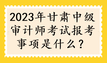 2023年甘肅中級審計師考試報考事項(xiàng)是什么？