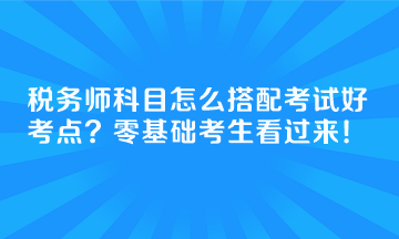 稅務(wù)師科目怎么搭配考試好考點(diǎn)？零基礎(chǔ)考生看過來！