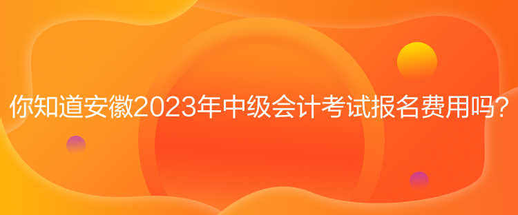 你知道安徽2023年中級會計考試報名費用嗎？