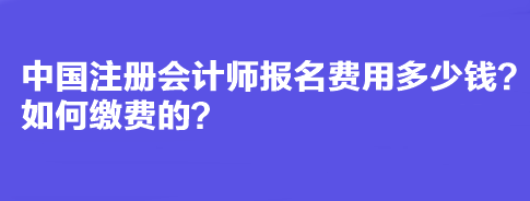 中國(guó)注冊(cè)會(huì)計(jì)師報(bào)名費(fèi)用多少錢(qián)？如何繳費(fèi)的？