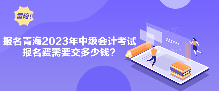 報(bào)名青海2023年中級(jí)會(huì)計(jì)考試報(bào)名費(fèi)需要交多少錢？