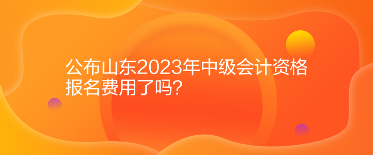 公布山東2023年中級會計資格報名費(fèi)用了嗎？