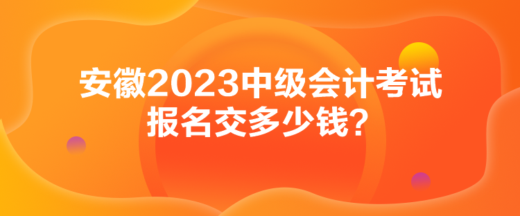 安徽2023中級(jí)會(huì)計(jì)考試報(bào)名交多少錢？