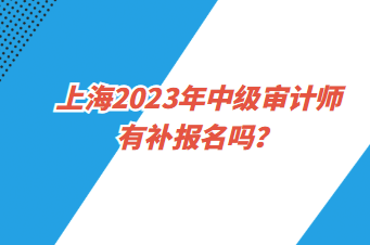 上海2023年中級審計(jì)師有補(bǔ)報(bào)名嗎？