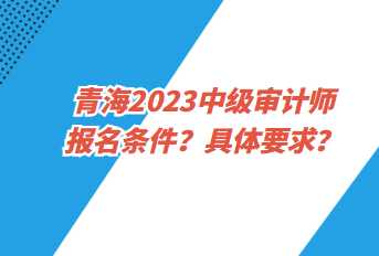 青海2023中級審計(jì)師報(bào)名條件？具體要求？